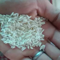 برنج جمشیدی درجه یک