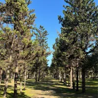 واحد-88-متری-خاص-هوشمند-شیخ-زاهد