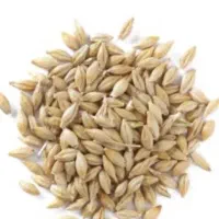 جو بذری یوسف،ریحانه،شش پر