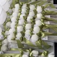عروس داماد
