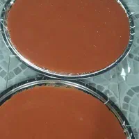 آلو خورشتی و لواشک آلو|خوردنی و آشامیدنی|مرند, |دیوار