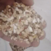 وسایل خوراک پرنده معاوضه با پرنده فنچ طوطی کوتوله|لوازم جانبی حیوانات|سیستان, |دیوار