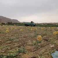 بنز تک باری