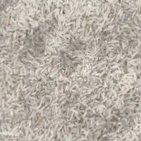 برنج|خوردنی و آشامیدنی|مزرعه کتول, |دیوار