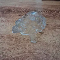 لاکپشت کریستال