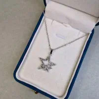 گردنبند آب نقره|بدلیجات|سهند, |دیوار