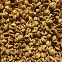 فروش انجیر‌ استهبان به صورت عمده و خرده