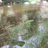 تور چارتر رشت
