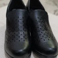 کفش زنانه|کیف، کفش، کمربند|اسفراین, |دیوار