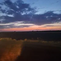 فروش سیم کارت همراه اول
