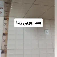 چربی زدا برای خانمهای تمیز|لوازم نظافت|شاهینشهر, خانه کارگر|دیوار