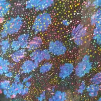 قواره پارچه  کوردی|لباس|سنندج, |دیوار