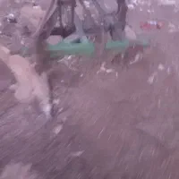 گاو آهن رمانی