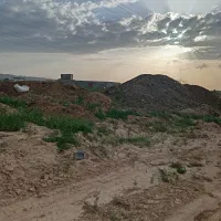 با گوسفندی وگاوی ومرغی|خدمات باغبانی و درختکاری|قوچان, |دیوار