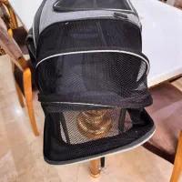 کیف حمل سگ
