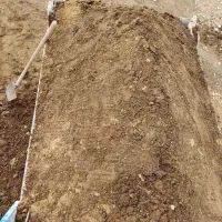 کود حیوانی برای  و درخت کاری|خدمات باغبانی و درختکاری|اندیمشک, |دیوار