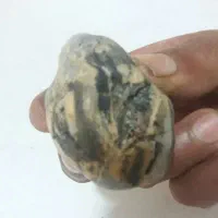 سنگ|کلکسیون اشیاء عتیقه|گلبهار, نوبهار|دیوار