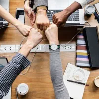 برنامه نویس درامد دائمی