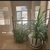 آپارتمان ۱۴۰ متری ۲ خواب در عباسی رباط دوم|اجارهٔ آپارتمان|اصفهان, طامه|دیوار