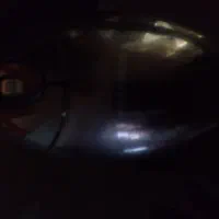 موس|قطعات و لوازم جانبی رایانه|تهران, ارجمندی راد|دیوار