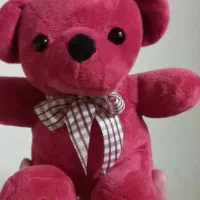 خرس ولنتاین