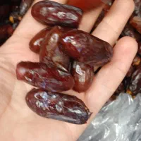 پخش خرما درجه ۱جزئی عمده
