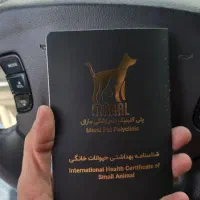 پیت بول|سگ|اصفهان, خانه اصفهان|دیوار