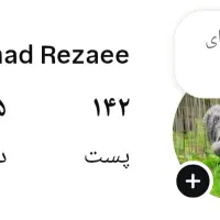 ادمین تولید محتوا