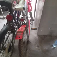 دوچرحه ۲۰ ،تایوانی ۵