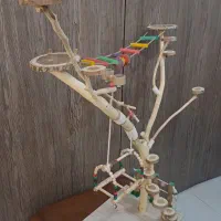 درخت پرندگان|لوازم جانبی حیوانات|مشهد, نیروی هوایی|دیوار