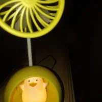 پنکه شارژی|پنکه و تصفیه‌کنندهٔ هوا|شاهین‌شهر, خانه کارگر|دیوار