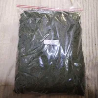 شیوید خشک درجه یک بدون چوب بدونه آشغال