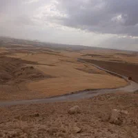 زمین کشاورزی