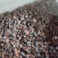 کشمش ارگانیک