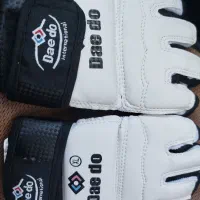 دستکش تکواندو دیدو