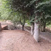 کلبه سوئیسی سند تک برگ شیرکده . ویشان|فروش خانه و ویلا|برهسر, |دیوار