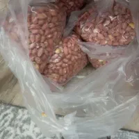 بادام زمینی