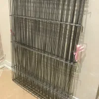 پارک سگ خرگوش گربه