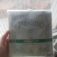 ویولنسل ساخت beijing|ویولن|کرج, فاز ۲ مهرشهر|دیوار