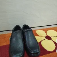 کفش مردانه|کیف، کفش، کمربند|الوند, |دیوار