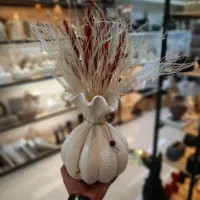 فروش چکی آغاز شد