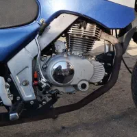 تریل نامی ادونچر