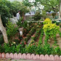 خدمات باغبانی درخت کاری باغچه کاری تعویض خاک گلدون|خدمات باغبانی و درختکاری|تهران, ستارخان|دیوار