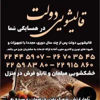 قالیشویی دیباجی اختیاریه دولت وارسته کاوه شریعتی