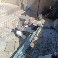 طوقی شازده سیاه الماسی سینه زرد طافته سبز مسافتی|پرنده|شیراز, حومه شیراز|دیوار