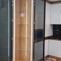 دوربین دزدگیر لاین نوری