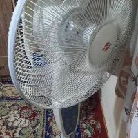 پنکه پارس خزرپایه بلند