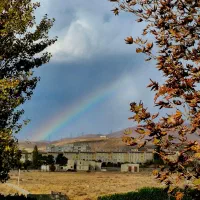 عمرا‌ن معما‌ری بر‌ق رتبه بند‌ ی