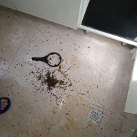 نظافت ساختمان راهٔ پله و پارکینگ  باغ و ویلا و ...|خدمات نظافت|تبریز, |دیوار