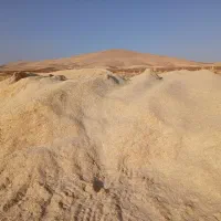 کاه|لوازم جانبی حیوانات|روانسر, |دیوار